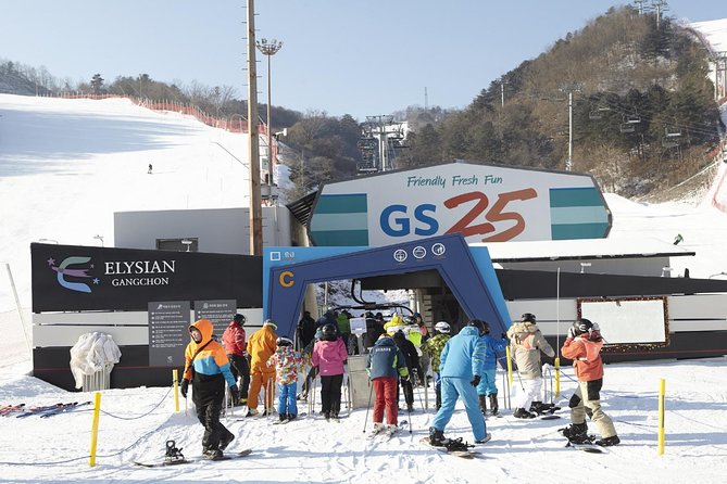 [Private Tour] Nami Island & Ski (Ski Lesson, Equip & Clothing Included) - Who is This Tour Best For?