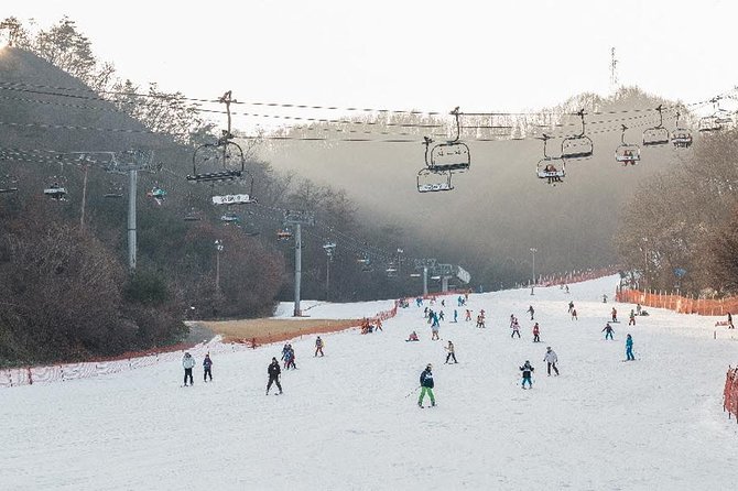 [Private Tour] Nami Island & Ski (Ski Lesson, Equip & Clothing Included) - Authentic Experiences from Reviewers