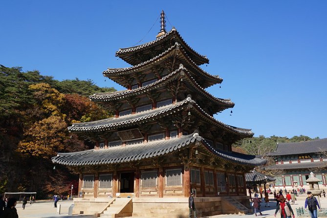 Songnisan National Park & Beopjusa Temple UNESCO site Private Tour - Key Points