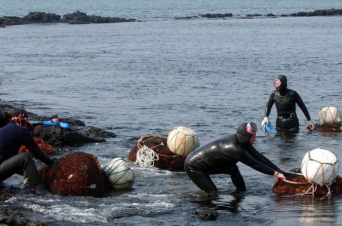 Korea UNESCO Sites 9days 8nights - Mountain Majesty and Scenic Beauty