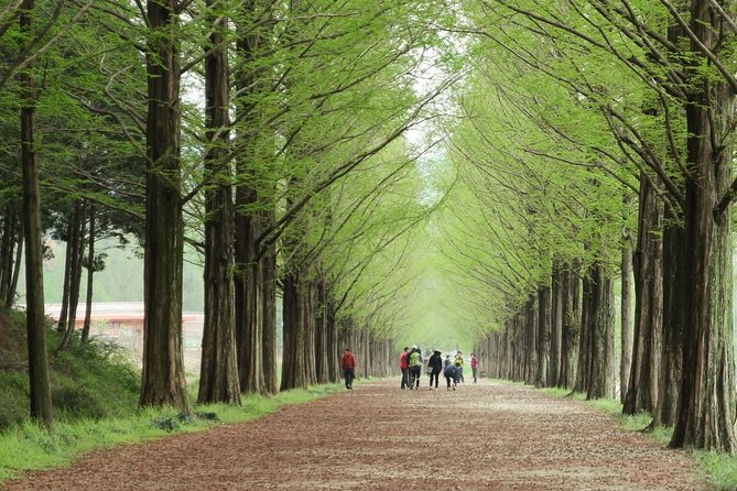 Nami Island& Petite France& Garden of Morning Calm& Italian Village One-Day Tour - Final Thoughts