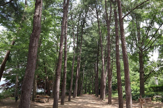 Alpaca, Nami, Petite Fr, Italian Village, Garden of Morning Calm - In-Depth Review of the Tour Experience