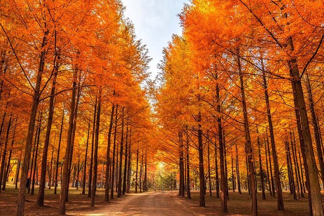 Alpaca, Nami, Petite Fr, Italian Village, Garden of Morning Calm - FAQ