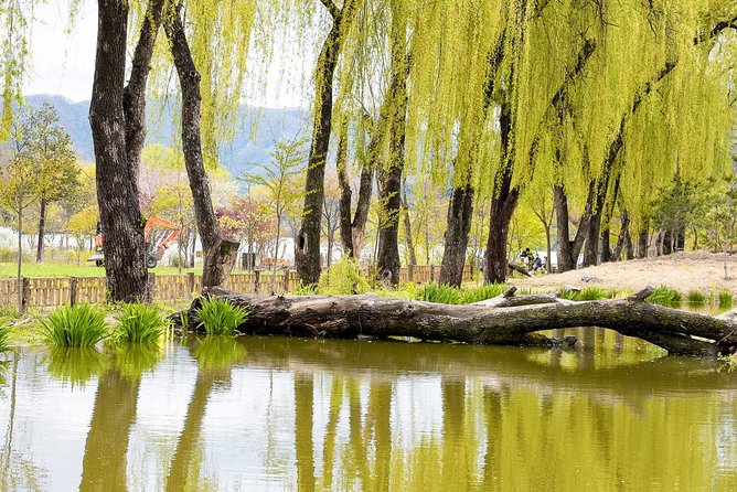 Nami Island & Petite France with Italian Village One-Day Tour - FAQ