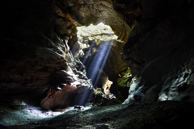 Private Tour Manjanggul cave & Jeju stone park in jeju island - Final Thoughts