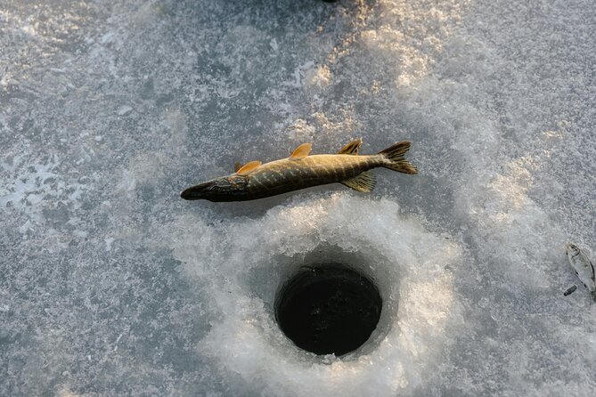 Ice Fishing Festival from Seoul - Practical Tips for Future Travelers