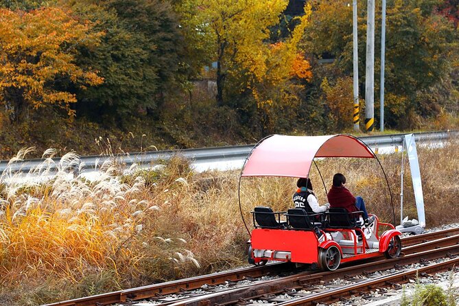 Nami Island, Rail bike & The Alpaca Garden - Key Points