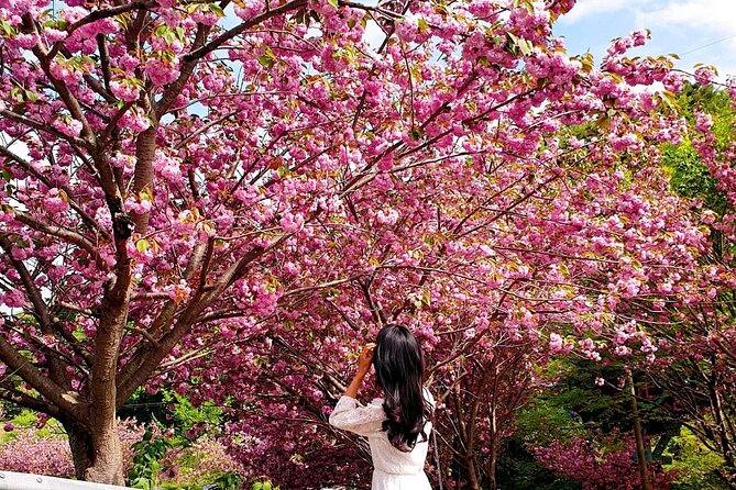 Spring Flower Festival and Seosan Gaesimsa and Munsusa Tour - What Makes This Tour Stand Out?