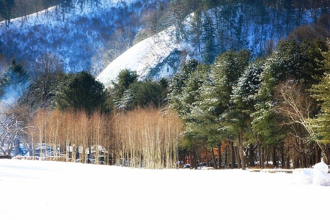 Seoraksan National Park & Nami Island - Frequently Asked Questions