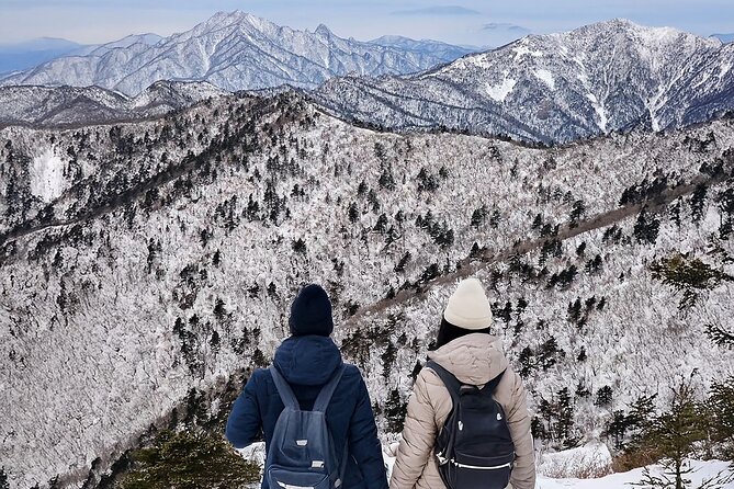 Seoraksan National Park & Nami Island - Good To Know