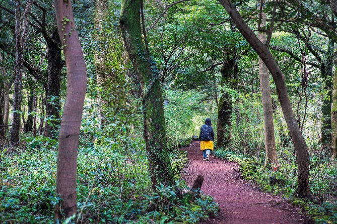 Discover Jeju in 3days: A Curated All-Inclusive Experience - Key Points