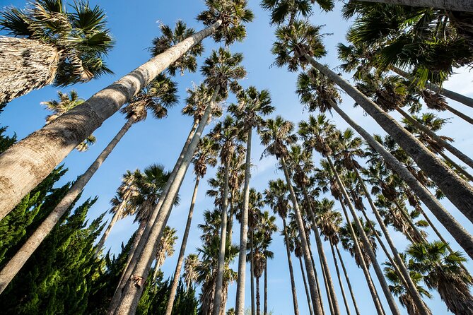 Discover Jeju in 3days: A Curated All-Inclusive Experience - Discover Jeju in 3 Days: An All-Inclusive Journey into Korea’s Natural and Cultural Heart