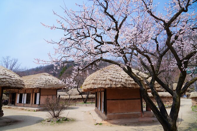Flexible Private Guided Tour In Suwon(Optional layover) - A Detailed Look at the Tour Experience