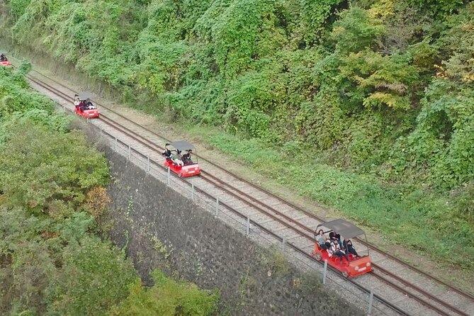 Private Tour to Nami Island Petite France and Railbike GyeongGang - What Travelers Say (Based on Reviews)