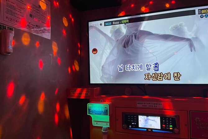 Han River sunset Chicken & Karaoke Private Tour - Authenticity and Unique Aspects