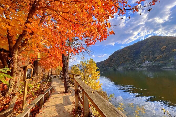 Nami Island and Rail Bike Day Trip from Seoul - Final Thoughts