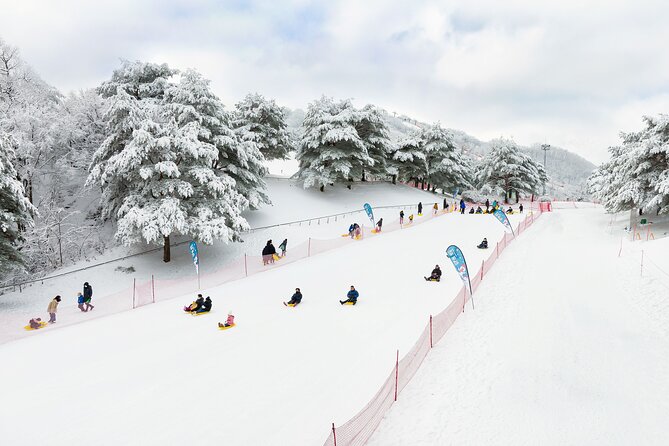 Strawberry Picking, Winter Sled with Eobi Ice Valley from Seoul - FAQ