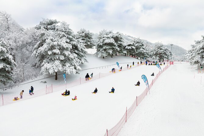 Vivaldi Park Winter Ski with Eobi Ice Valley Day Tour from Seoul - Final Thoughts: Is This Tour for You?