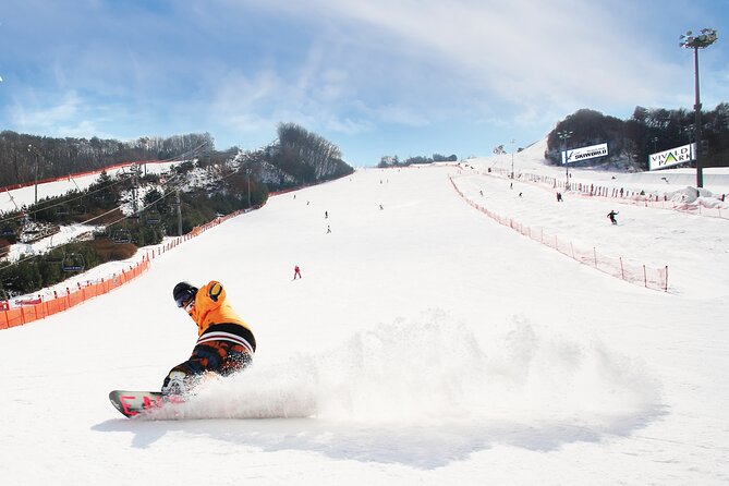 Vivaldi Park Winter Ski with Eobi Ice Valley Day Tour from Seoul - Experience the Best of Korea’s Winter Outdoors: Vivaldi Park Ski & Eobi Ice Valley Tour