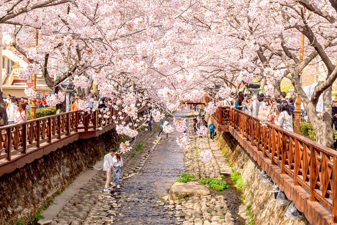 Jinhae Cherry Blossom Festival Gyeonghwa Stn Day Tour from Seoul - Practical Details: What You Need to Know