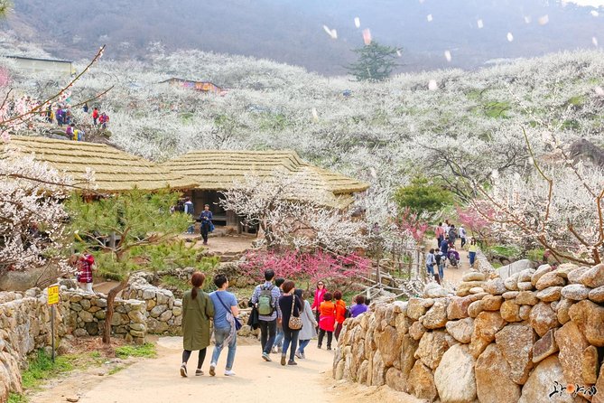 Gwangyang Maewha Flower and Jeonju Hanok Village 1 day trip from Seoul - Transportation and Comfort