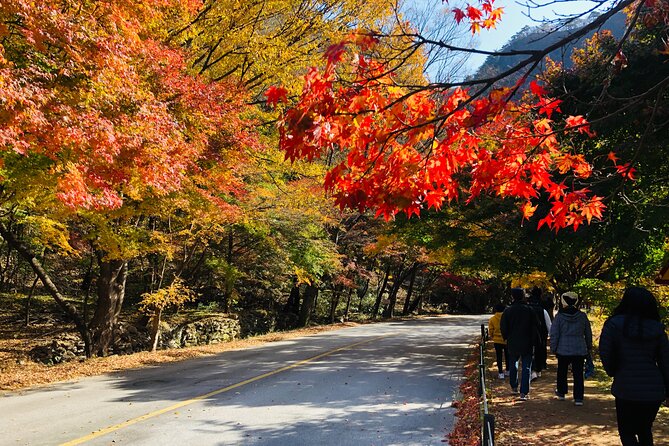 MT. Naejang Autumn Foliage and Jeonju Hanok village 1 Day Tour - Authentic Insights from Reviews