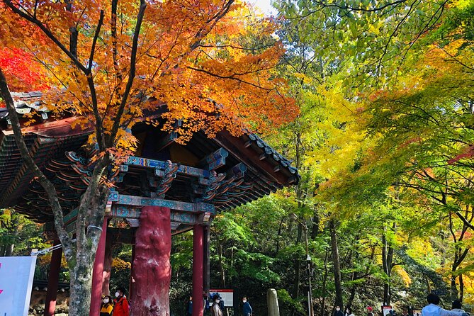 MT. Naejang Autumn Foliage and Jeonju Hanok village 1 Day Tour - Who Is This Tour Best For?