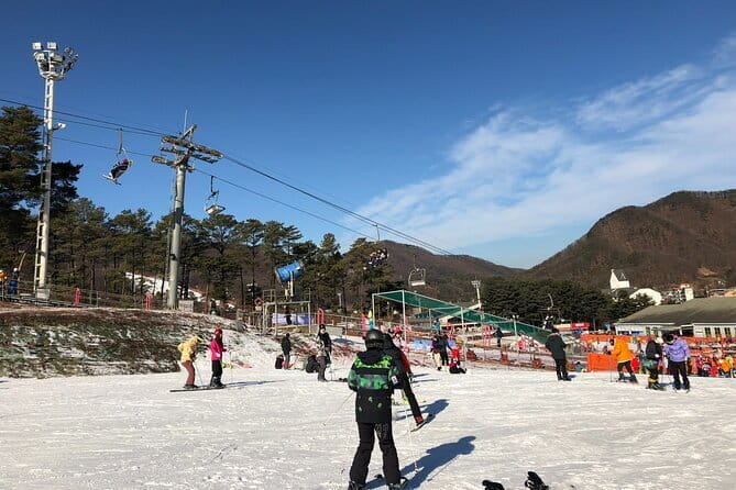 Jisan Forest Ski Resort and Everland 1 Day Tour - What Travelers Are Saying