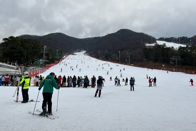 Jisan Forest Ski Resort and Everland 1 Day Tour - Final Thoughts: Who Will Love This Tour?