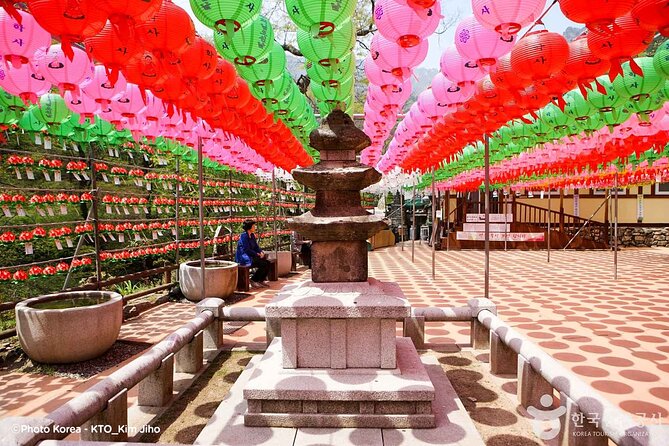 Donghaksa Temple Cherry Blossom and Jeonju Hanok Village - An In-Depth Look at the Tour Experience