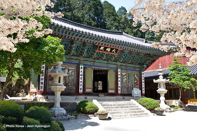 Donghaksa Temple Cherry Blossom and Jeonju Hanok Village - Discover the Charm of South Korea on the Donghaksa Cherry Blossom & Jeonju Hanok Village Tour
