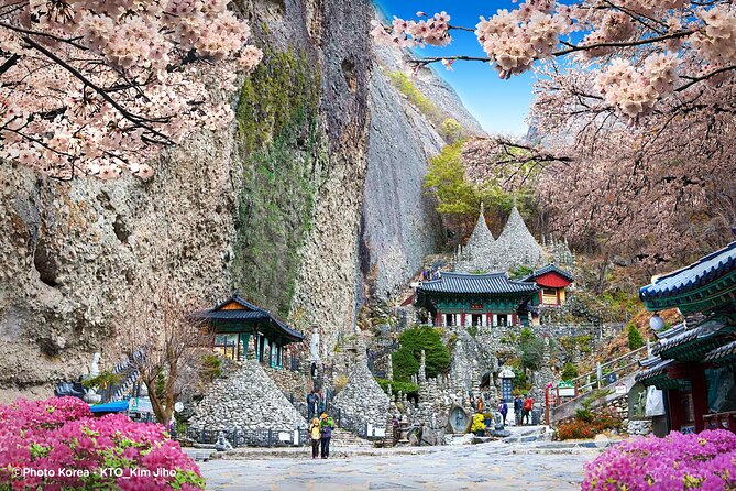 Maisan Cherry Blossom and Jeonju Hanok Village - A Thorough Breakdown of the Itinerary