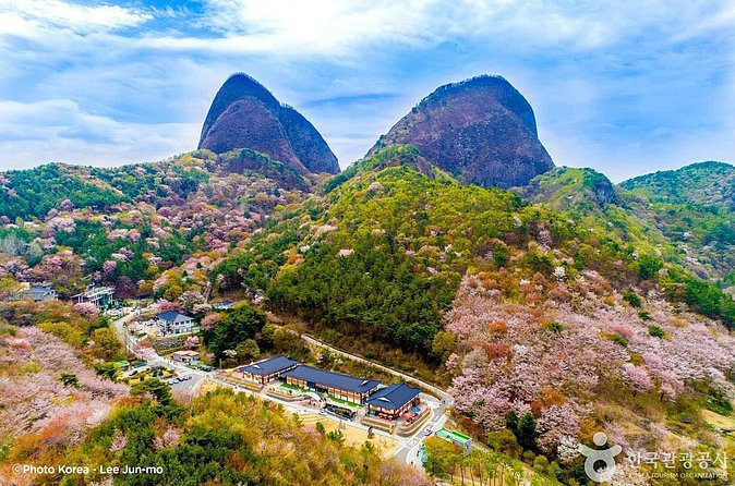 Maisan Cherry Blossom and Jeonju Hanok Village - The Sum Up: Is This Tour Right for You?