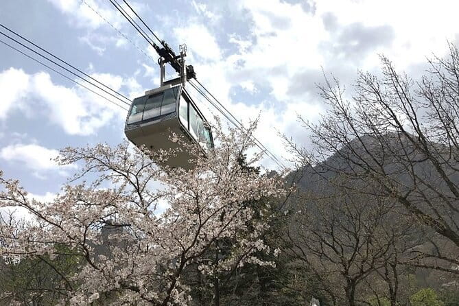 Seoraksan and Cherry Blossom Lake 1 day trip from Seoul - Exploring Seoraksan National Park