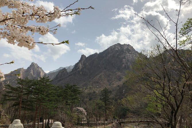 Seoraksan and Cherry Blossom Lake 1 day trip from Seoul - Starting in Seoul