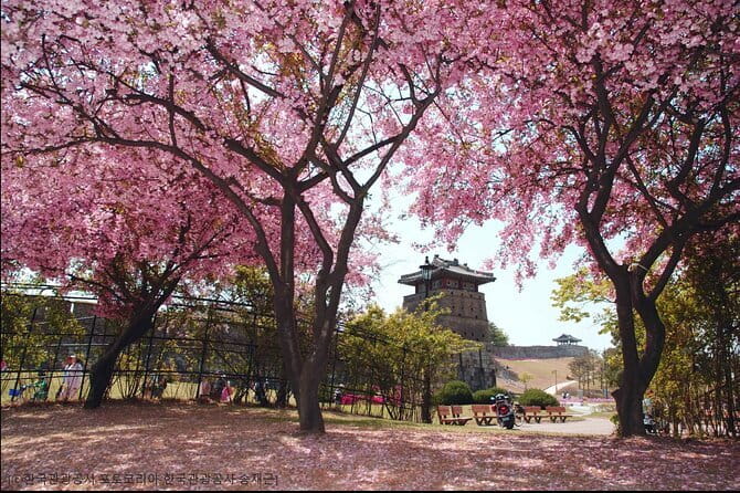 Day Tour of Suwon Hwaseong Fortress Starfield Waujeongsa Temple - FAQ