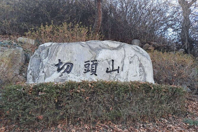 Seoul Pilgrimage Private Tour - Recognized by the Vatican - Practical Considerations and Value