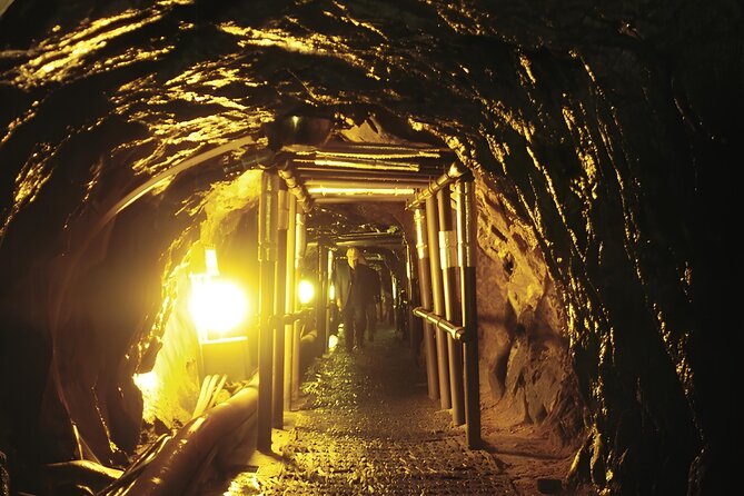 From Seoul Essential Private DMZ Tour - Who Will Love This Tour?