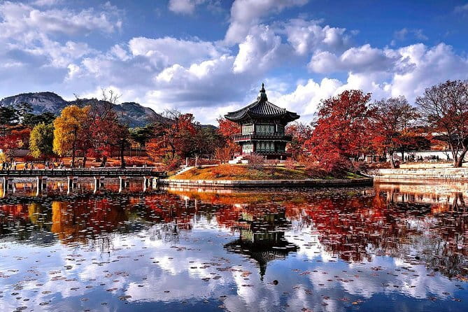 Private transport for 1 day Seoul tour - Authentic Experiences and Practical Tips