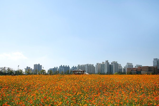 Incheon Full-Day Sunset and Sea Food Tour - Who Should Consider This Tour?