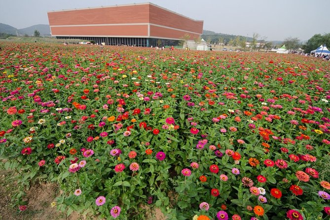 Incheon Full-Day Sunset and Sea Food Tour - Evaluating the Value for Money