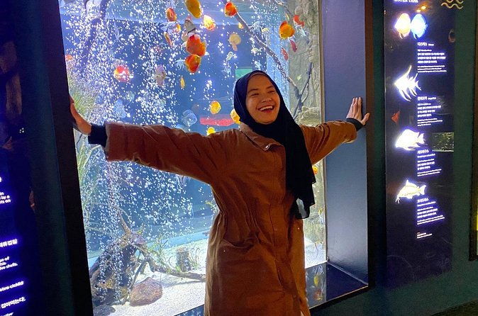 Danyang Family 2 Days 1 Night City Tour - Final Thoughts: Is This Tour Right for You?