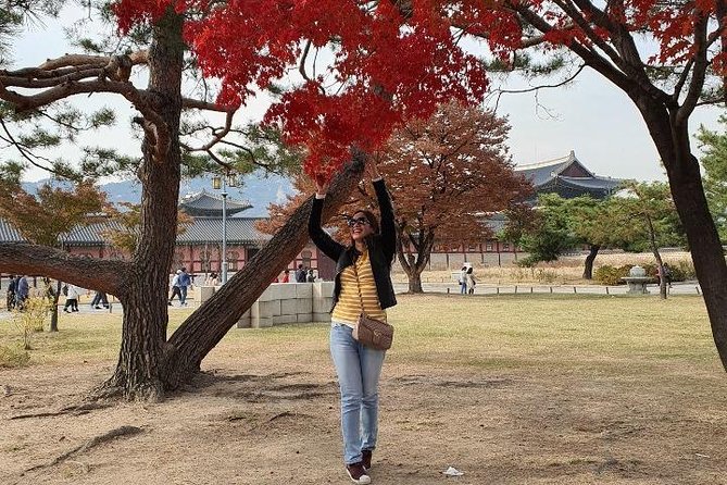 Seoul City Tour - The Sum Up: Who Is This Tour Best For?