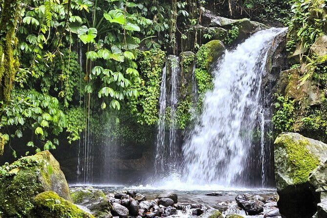 Jungle Trekking at Mt. Batukaru, scenic Waterfall & village life - An In-Depth Look at the Bali Jungle Trekking Experience