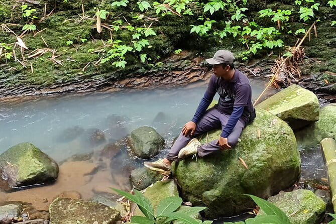 Balis Mystical Jungle Trek & Hidden Waterfall Adventure - Who Will Love This Tour?